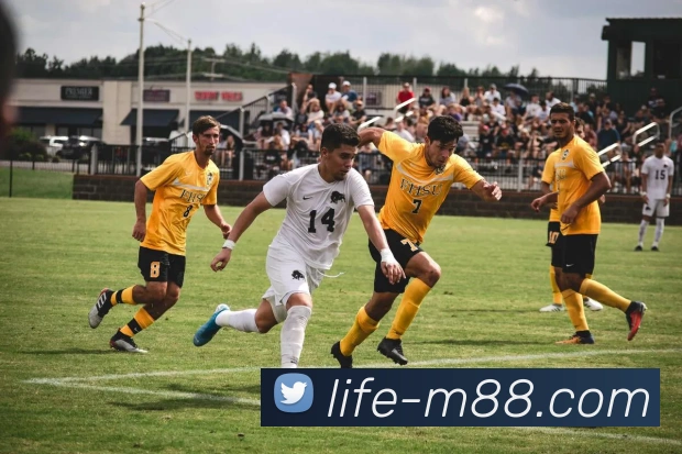 M88明升官网平台生态图